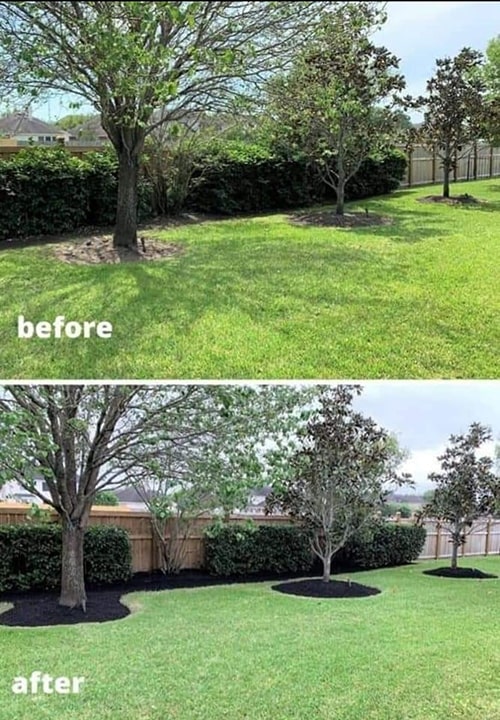 Freshly trimmed trees and hedges